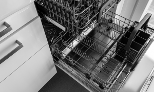 Picture of an open electric dishwashwer